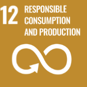 Responsible Consumption and Production